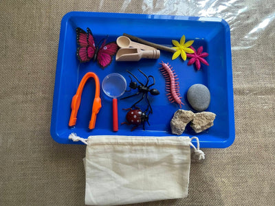 Kit d'exploration Insectes