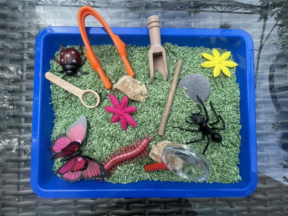 Kit d'exploration Insectes