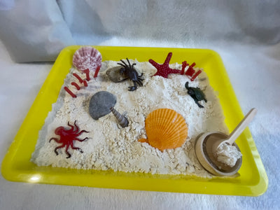 Bac sensoriel océan sable magique