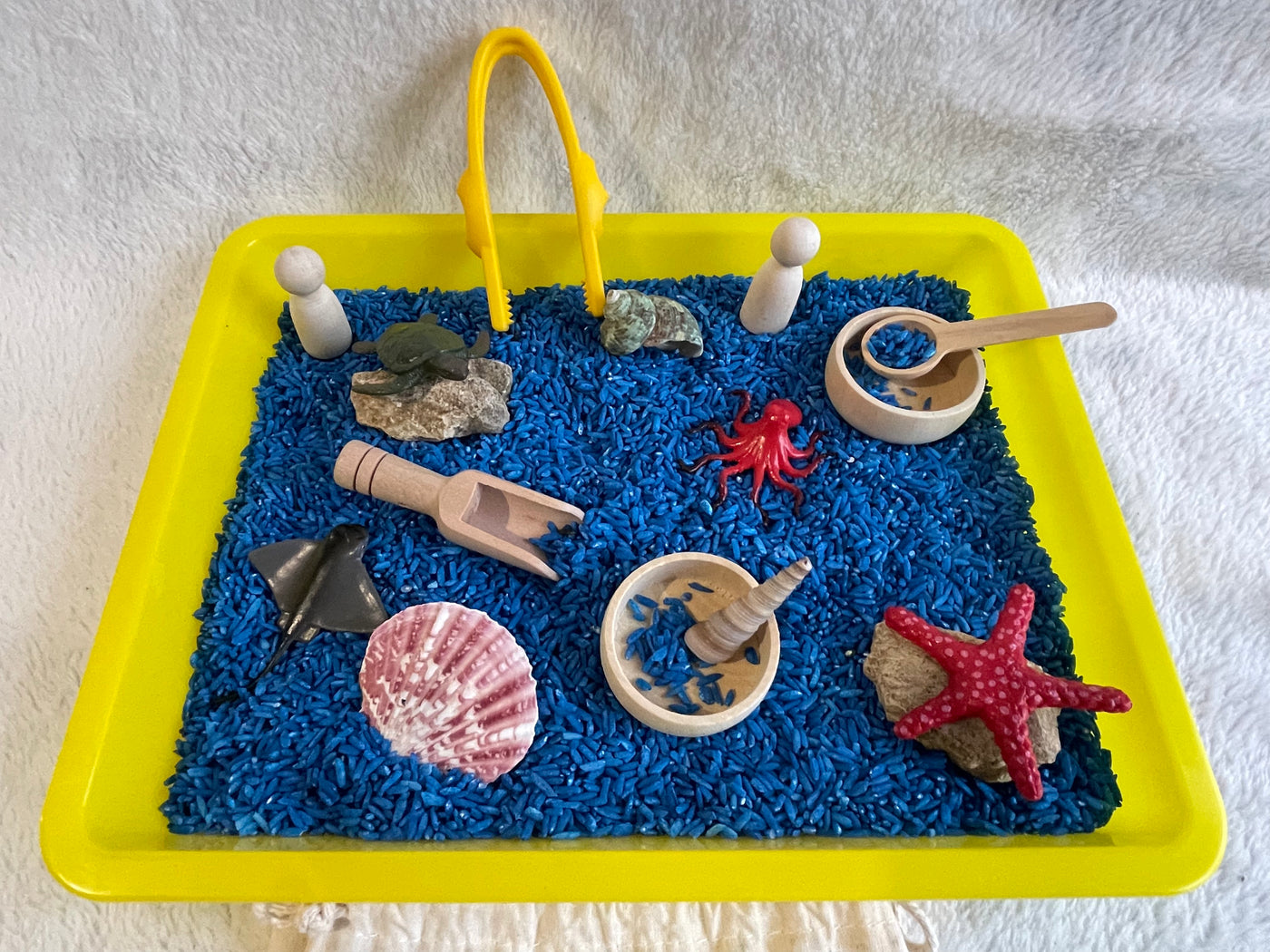 kit d'exploration océan