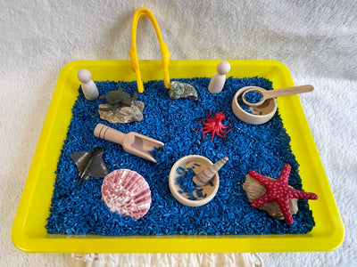 kit d'exploration océan