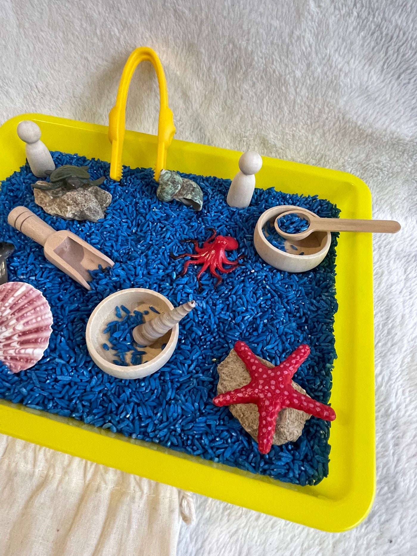 kit d'exploration océan