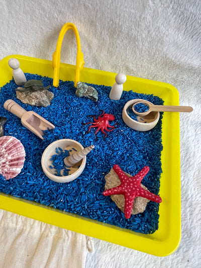 kit d'exploration océan