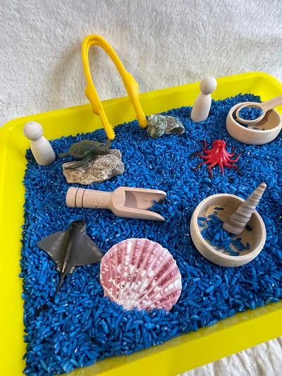 kit d'exploration océan